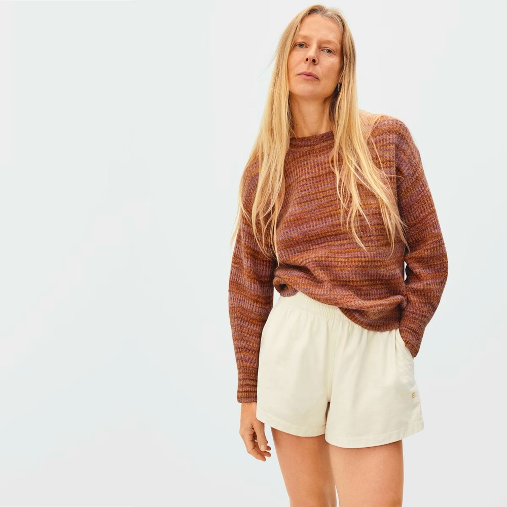 Everlane oversized alpaca crew